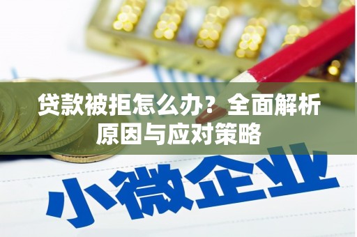 灵川贷款被拒怎么办？全面解析原因与应对策略