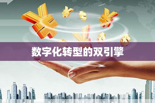 闵行数字化转型的双引擎