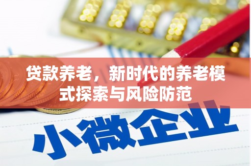 莲都贷款养老，新时代的养老模式探索与风险防范