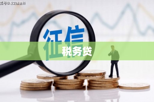 和田税务贷