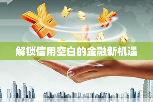 硚口解锁信用空白的金融新机遇