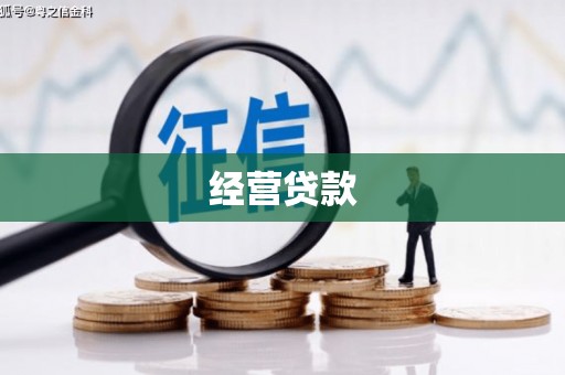 丹寨经营贷款