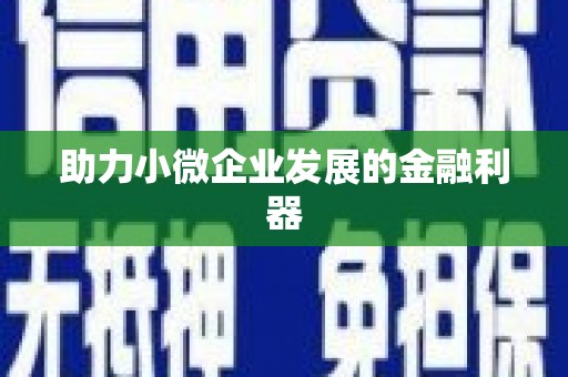 周口助力小微企业发展的金融利器