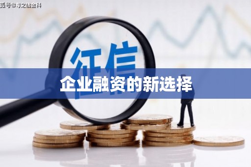 澄迈企业融资的新选择