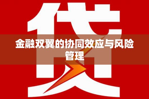 洮北金融双翼的协同效应与风险管理