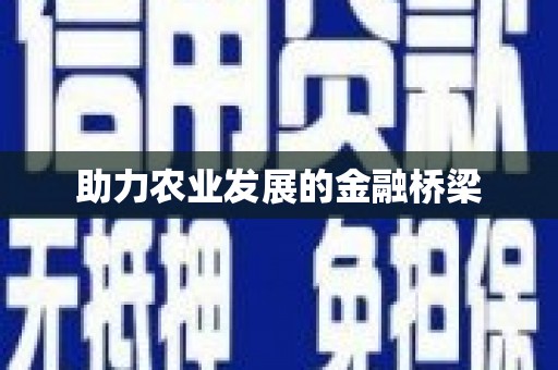 海盐助力农业发展的金融桥梁