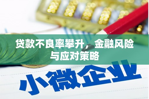 东明贷款不良率攀升，金融风险与应对策略
