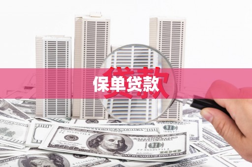 静海保单贷款 静海保单贷款